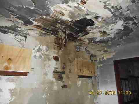 2451 Edsel (9)_m.jpg